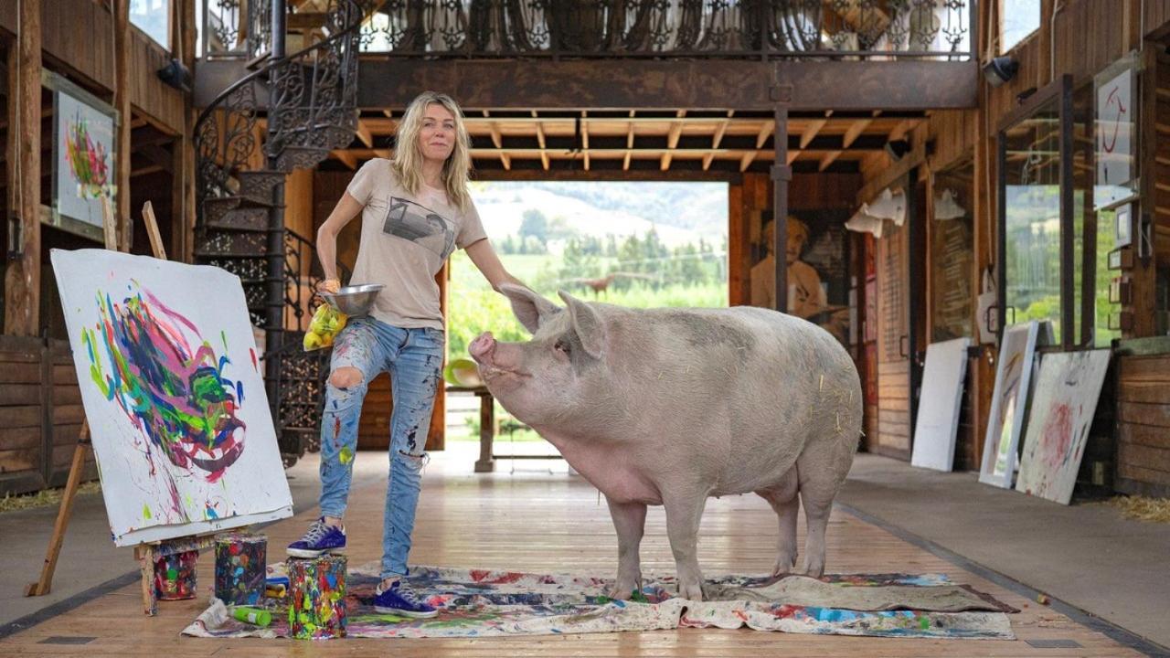 Inspiring Farm Sanctuary And Famous Painting Pig Hotel Franschhoek Eksteriør billede