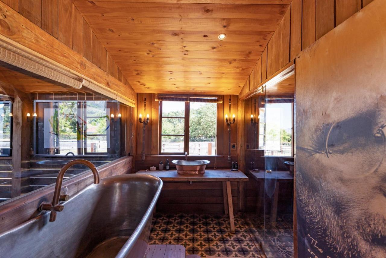 Inspiring Farm Sanctuary And Famous Painting Pig Hotel Franschhoek Eksteriør billede